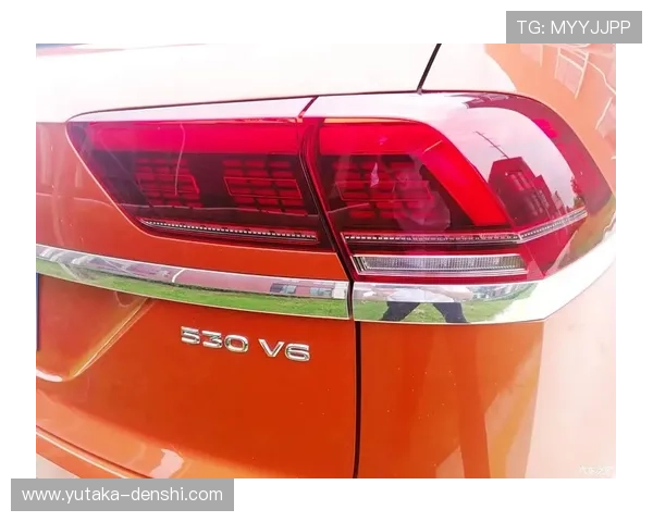 PA zhenren账号注册过程中常见错误及避免方法详解