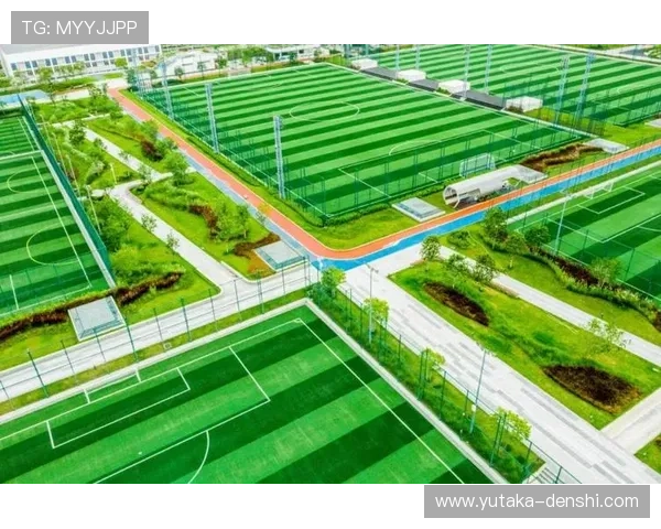 凯发体育的网址导航，确保用户快速找到官方安全的登录入口